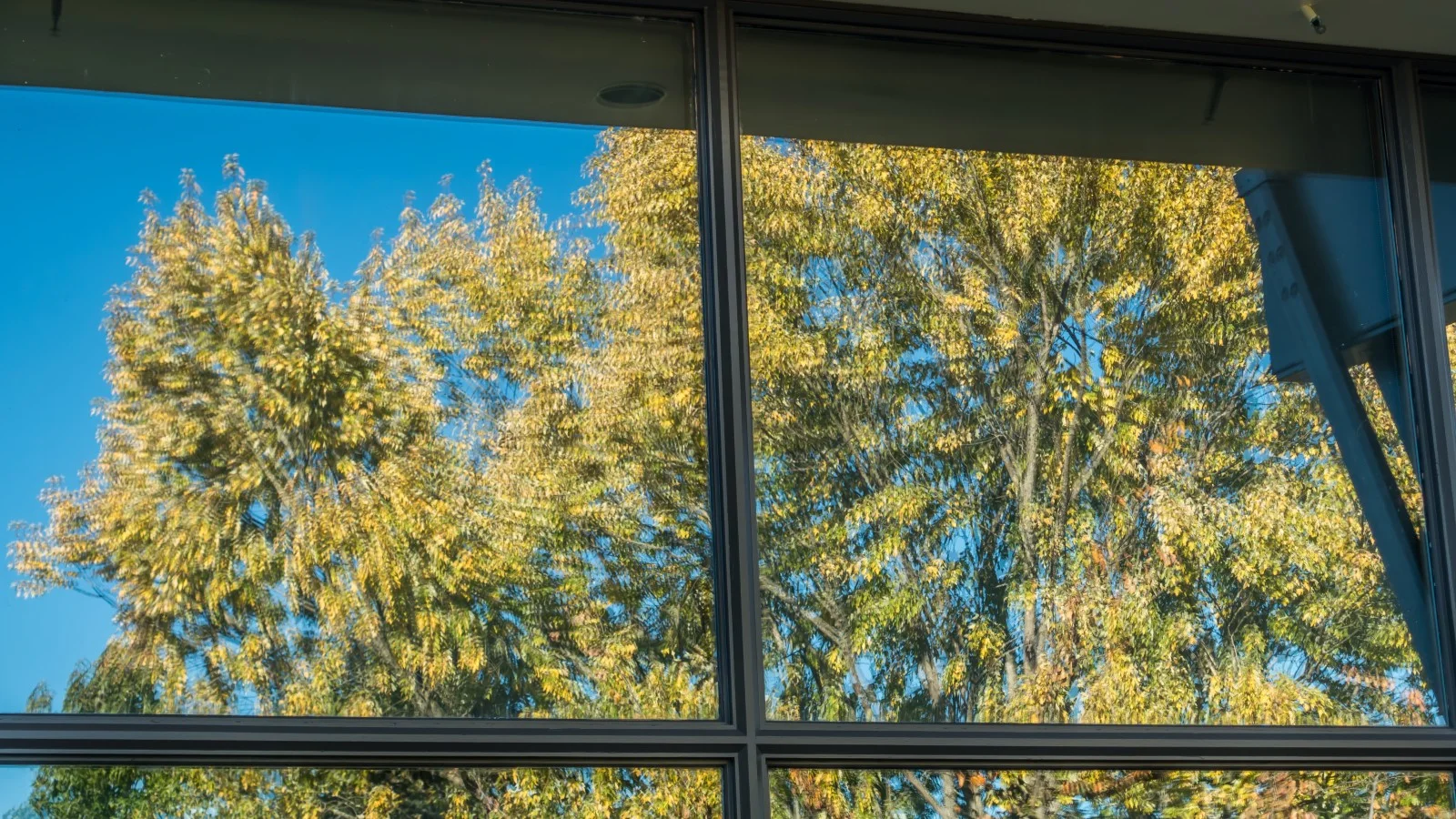 cortinas de cristal en Zaragoza, ejemplo visual 7