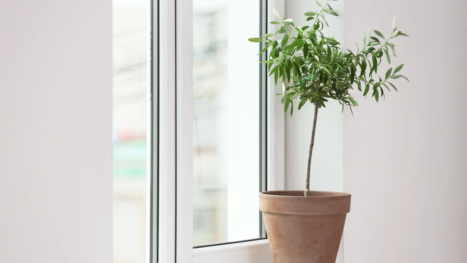 ventanas de PVC en Zaragoza, ejemplo visual 4